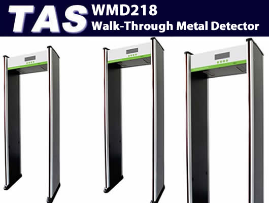 Security Control - walk through turnstiles